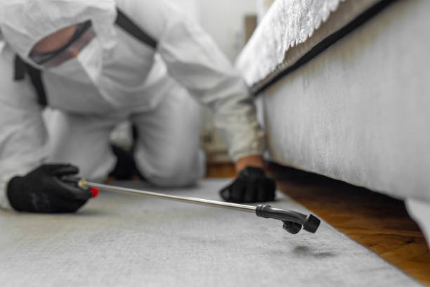 Professional Termite Control technician working in Point Pleasant, NJ