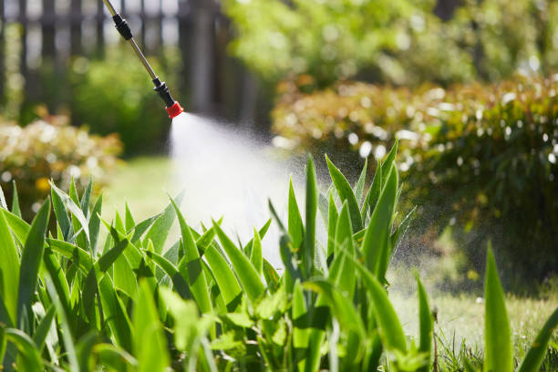 24/7 Emergency Termite Control experts in Point Pleasant, NJ