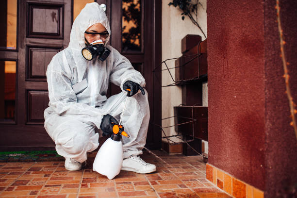 Reliable Termite Control contractor in Point Pleasant, NJ by Nex Pest Control